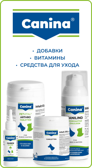 Канина_кошки