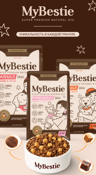 МайБести_Собаки