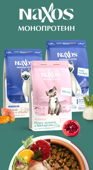 Naxos_кошки