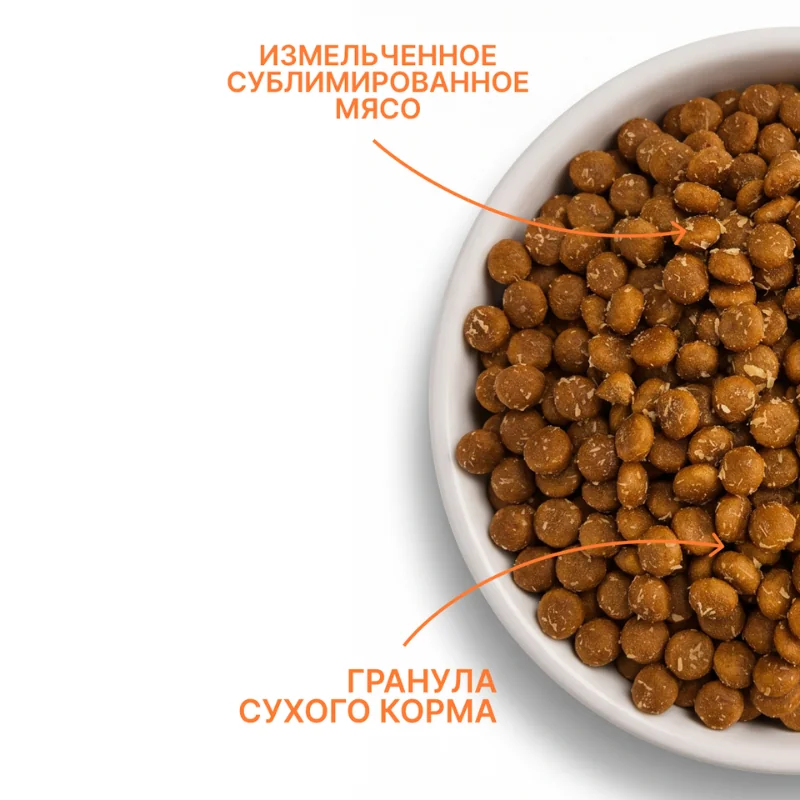 MyBestie Нome Sterilized с ягненком