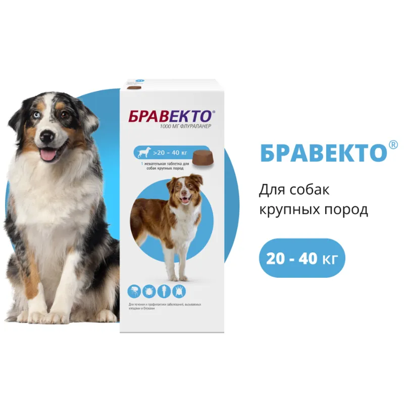 Bravecto от блох и клещей для собак